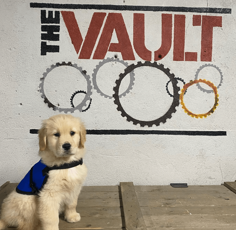 PawPrint Dog at the Vault