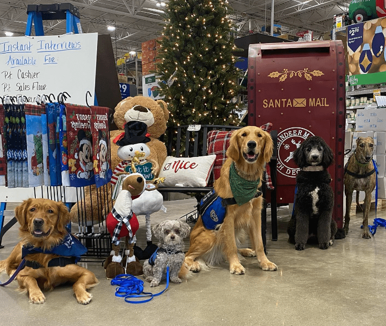 PawPrint Dogs at Christmas Event