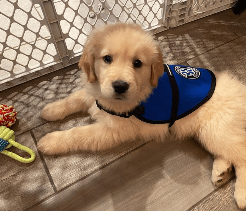 PawPrint Puppy in PawPrint Ministries Uniform